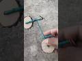 The Cutest Little cycle You’ve Ever Seen!
