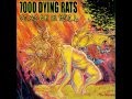 7000 Dying Rats - Death Hammer of the Bearded Ones - HD