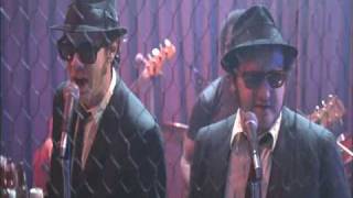 Watch Blues Brothers Stand By Your Man video