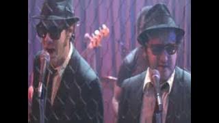 Stand By Your Man -Blues Brothers