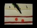 Humoral Immune Response