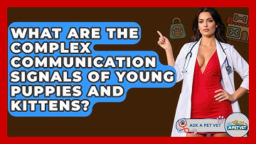 What Are The Complex Communication Signals Of Young Puppies And Kittens? - Ask A Pet Vet
