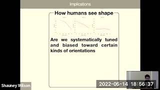 Human-like signatures of contour integration in deep neural networks