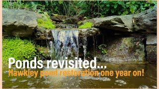Ponds revisited! One year on: Hawkley pond restoration
