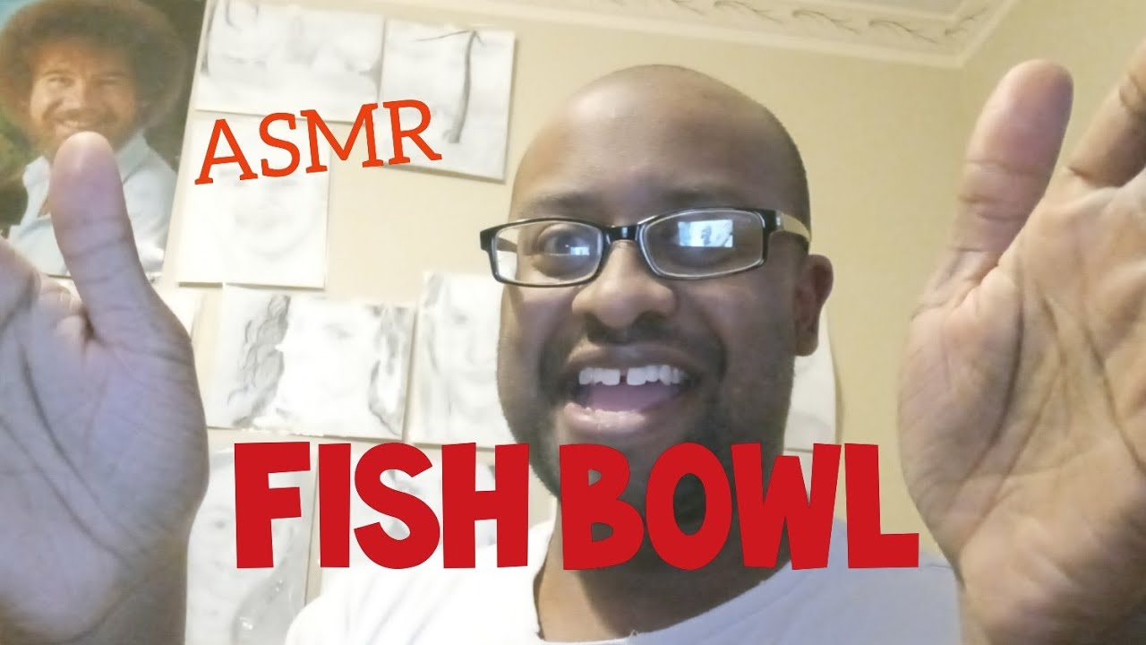 ASMR Fish Bowl YouTube