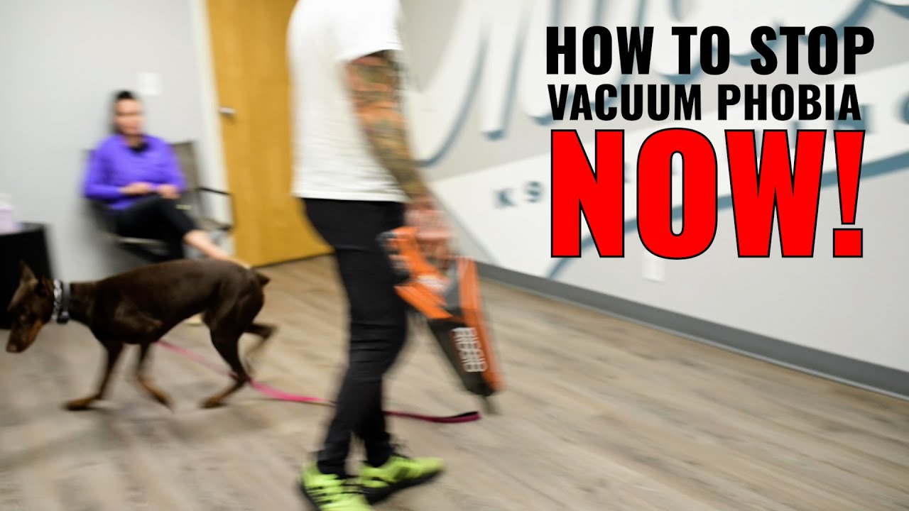 How to stop vacuum phobia NOW! YouTube
