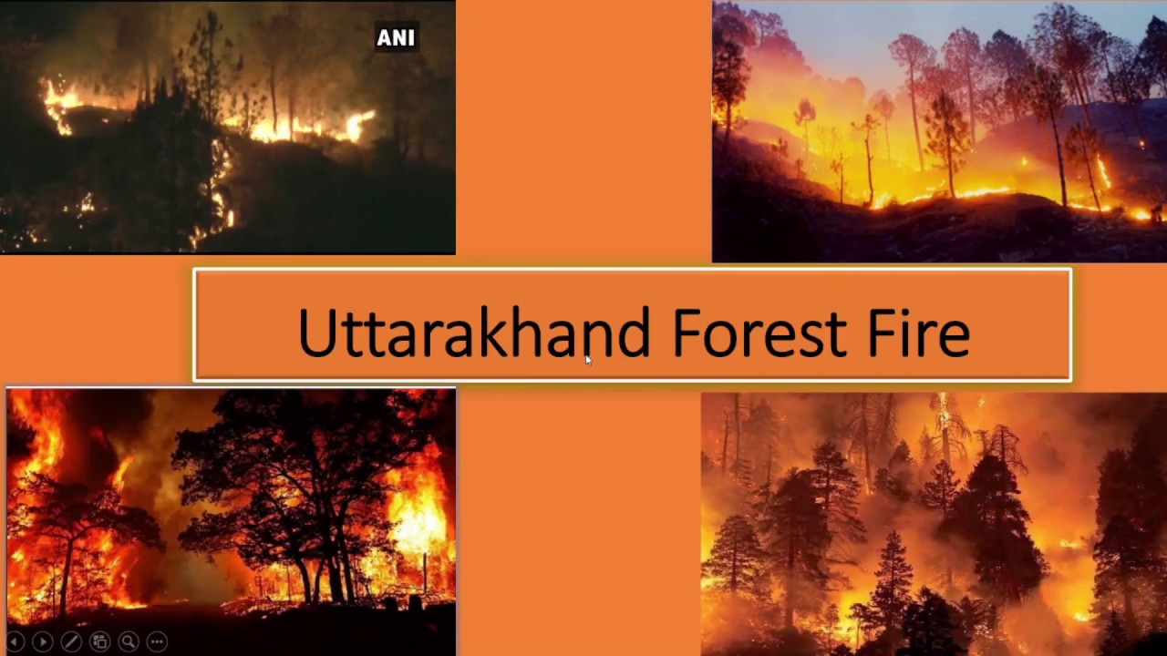 case study on forest fire in uttarakhand