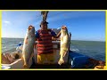 Pescaria raiz enfrentando desafios do mar pescadas gigantes no espinhel