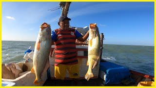 Pescaria Raiz: Enfrentando Desafios do Mar! Pescadas Gigantes No Espinhel!!!