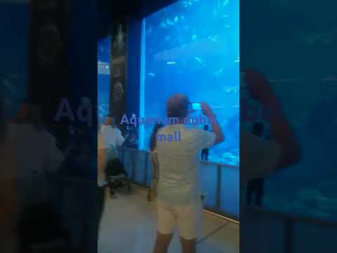 dubai#uae#dubai mall#under water zoo#travel #tourism #come to dubai