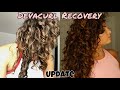 DEVACURL RECOVERY UPDATE (1 YEAR)