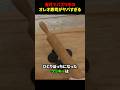 海外でバズり中のオレオ寿司がヤバすぎる #海外 #shorts