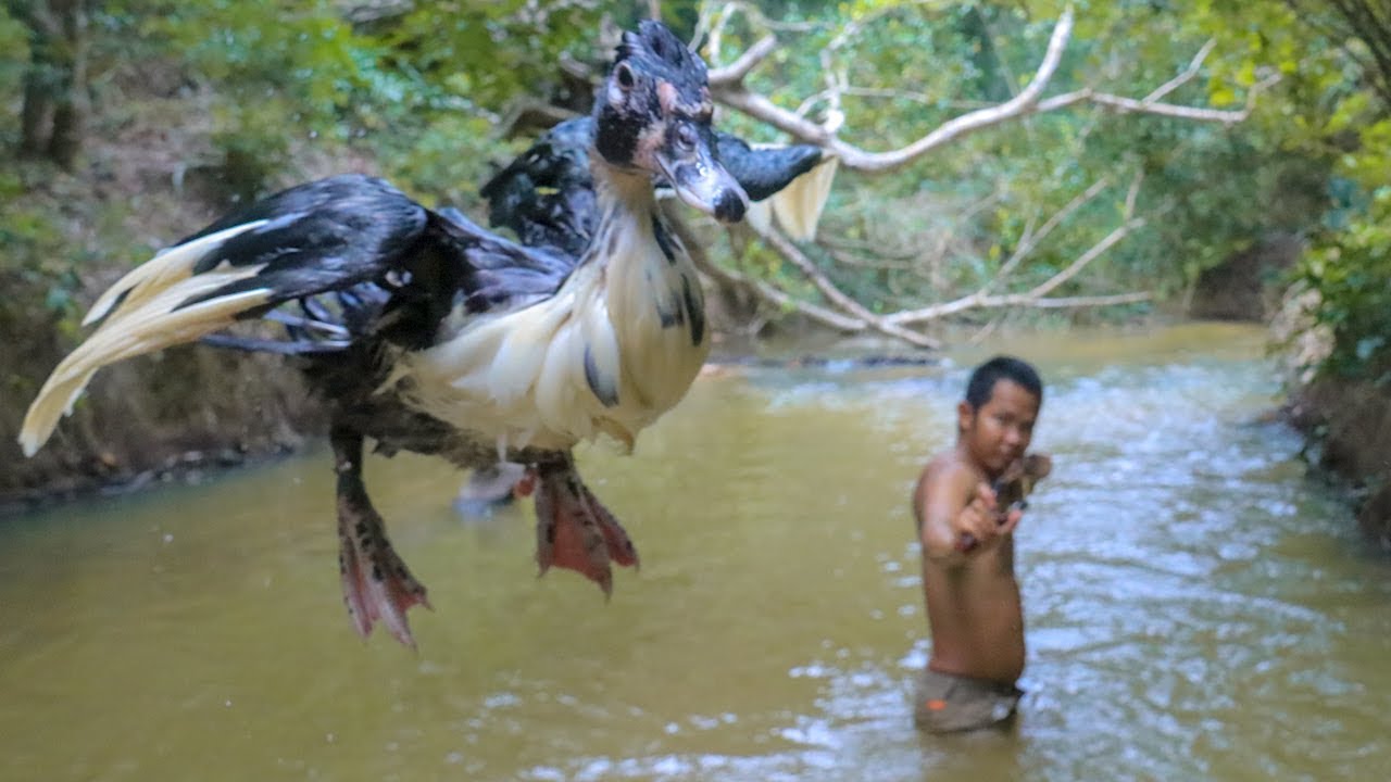 survival time small cell carcinoma bladder Hunting and cooking duck eating delicious in the forest