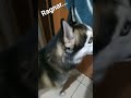 Ragnar,...