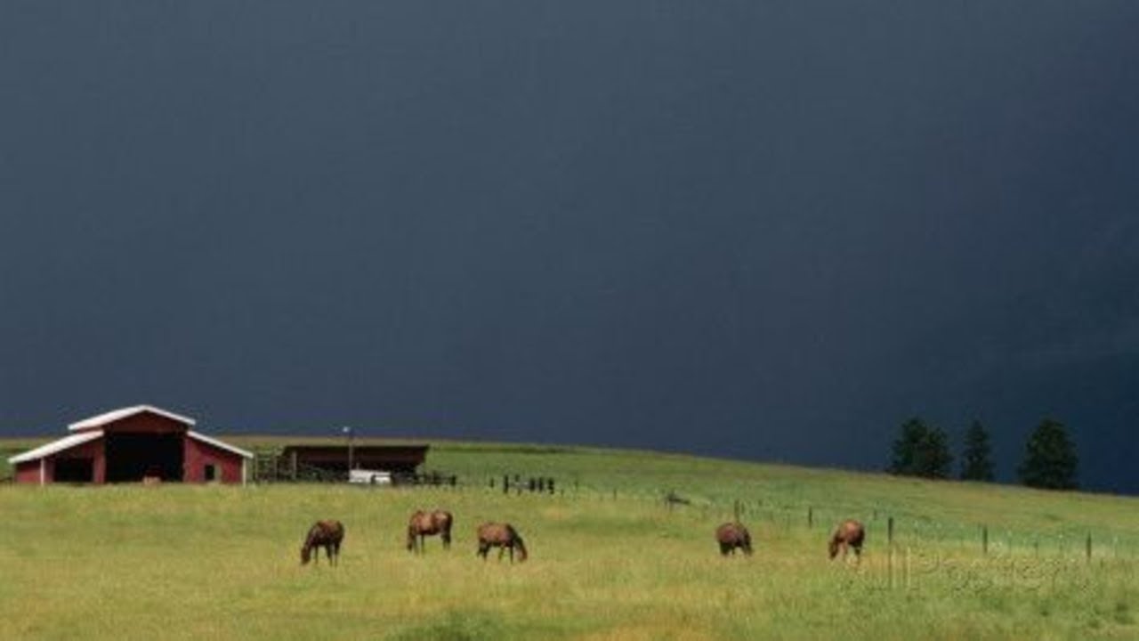 Creepypastas para tener de fondo mientras esperas tu pizza con problemas de ira