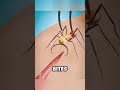 Do you know what Africans use to wounds ?#knowledge #us #fyp... #Shorts #hall_of_fame01