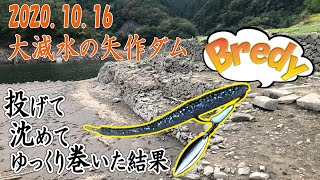 【バス釣り#3】大減水の矢作ダムでBredy（ブレディ）釣行