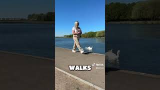 5 Benefits of Walking @hertscountycouncil