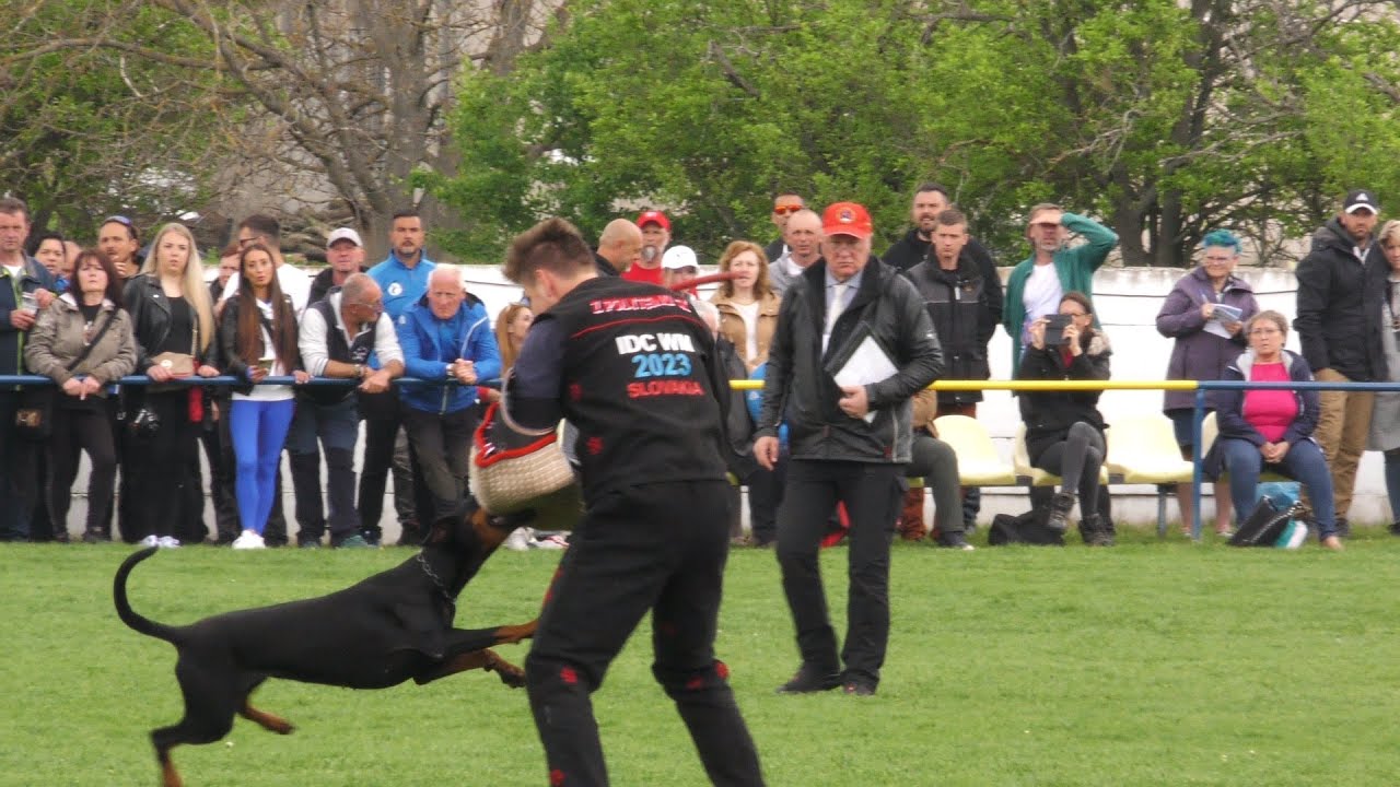 IDC Dobermann World Championship 2023   I  Slovakia