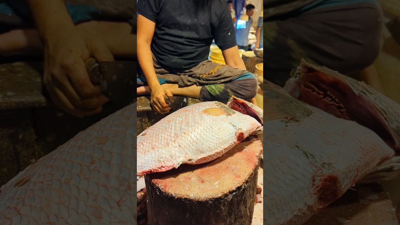 ⚡🐟 Unbelievable Koral Fish Cutting Speed! 🔪😲 | Expert Butcher Skills 🔥 
