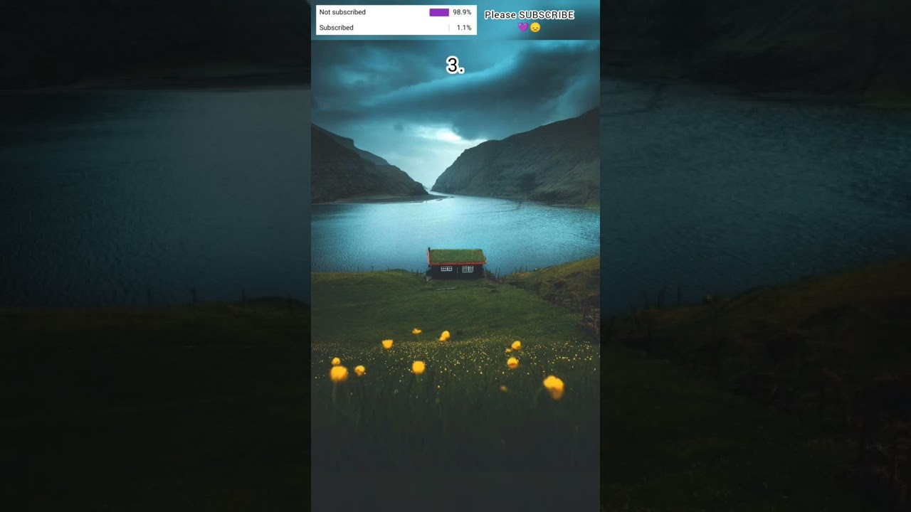 which house you choose 