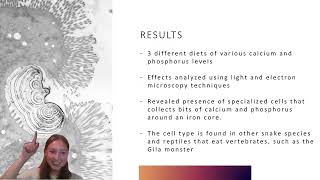 New-Cell-Python-Poop-No-Bones