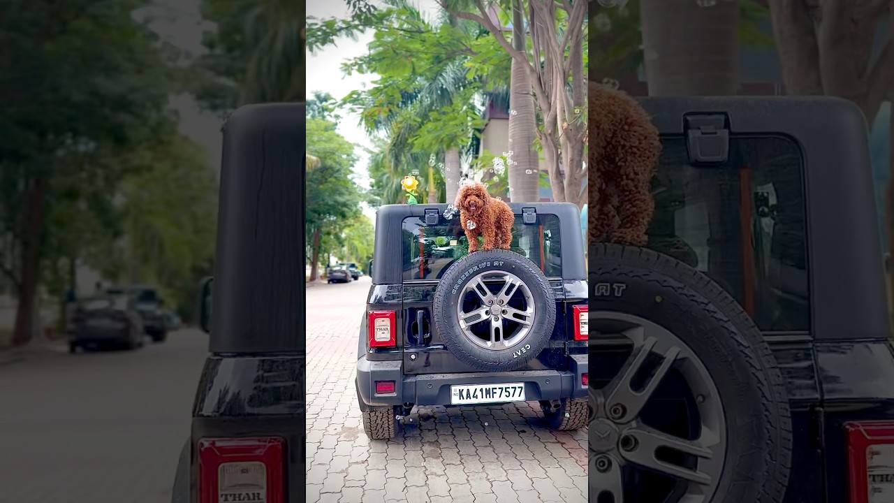 First bubble car in India🇮🇳 Do not horn🫧 