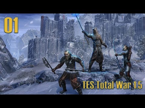 Видео: The Elder Scrolls: Total War 1.5 – Орки  – 01 – «Орда идет на Север »