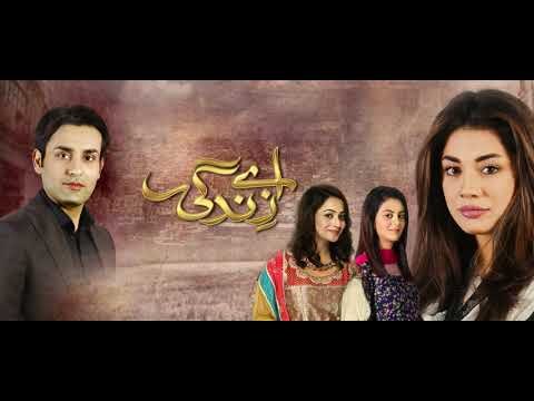 Aey Zindagi | 2019 | Nabeel Shaukat Ali | Aima Baig | Cover Song from Zindagi