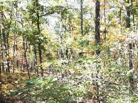 50 Eagle Crest Dr, Conway, AR home video tour
