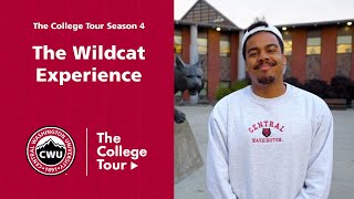 The Wildcat Experience