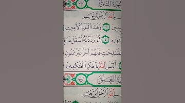 ما معنى "أليس الله بأحكم الحاكمين"#سورة #التين