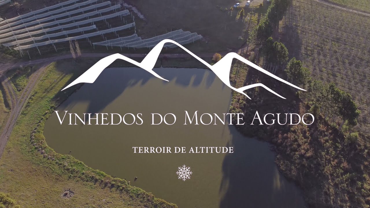 Vinhedos Monte Agudo - Altitude Imagens Aéreas
