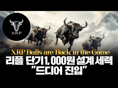   리플 세력 XRP 1 000원짜리 설계 리플 세력 갓 진입했다