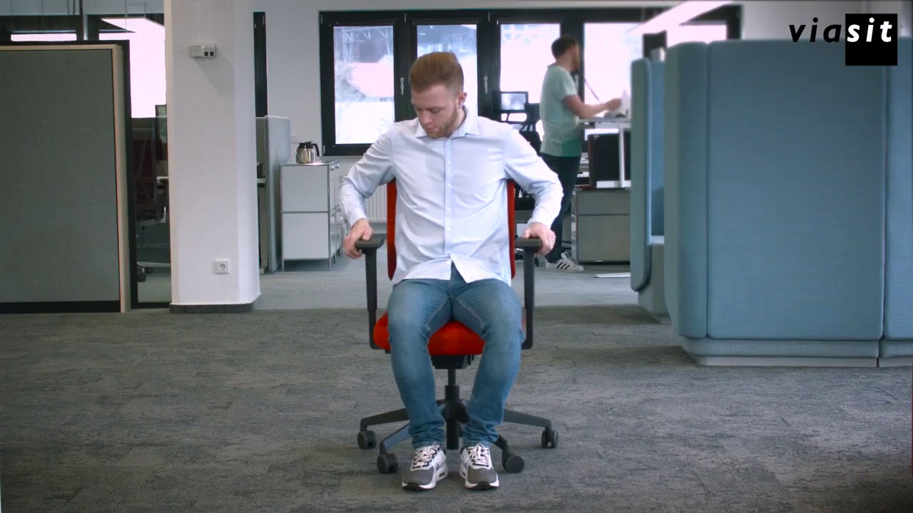 Эргономичное кресло DRUMBACK от VIASIT