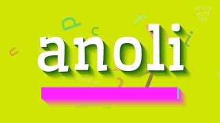Anoli - How To Pronounce Anoli?