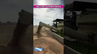 ਕਣਕ ਦਾ ਕਿੰਨਾ ਝਾੜ ਨਿਕਲਿਆ ਇਸ ਵਾਰ #automobile #shorts #tractor #khetibadi #farming #agriculture #new