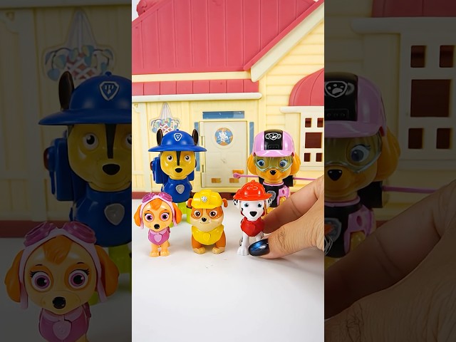Satisfying Experience with PAW Patrol Collection Toys | Mom Mami Mama #funny