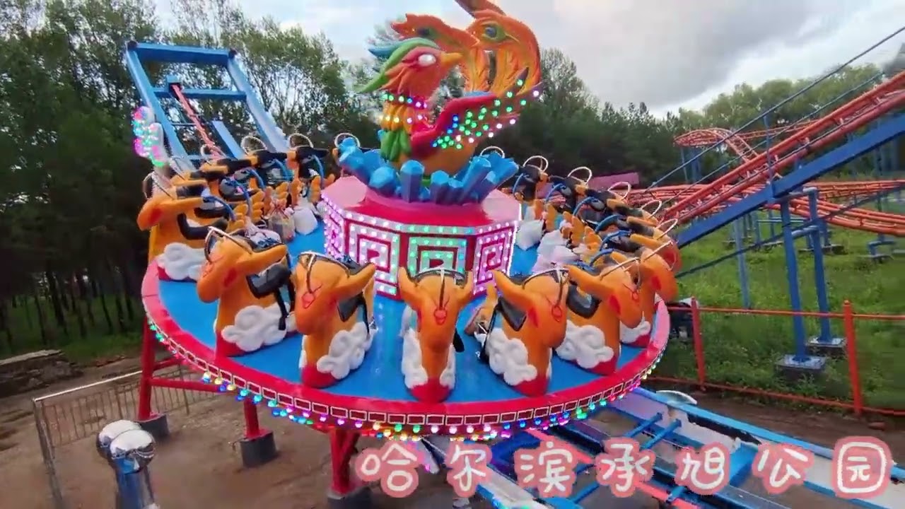 Customer Feedback Cases on Mega Disko Flying UFO Disc Rides