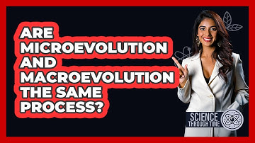 Are Microevolution And Macroevolution The Same Process? - Science Through Time