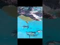 Air penguins? Nah. Underwater rockets 🐧💦