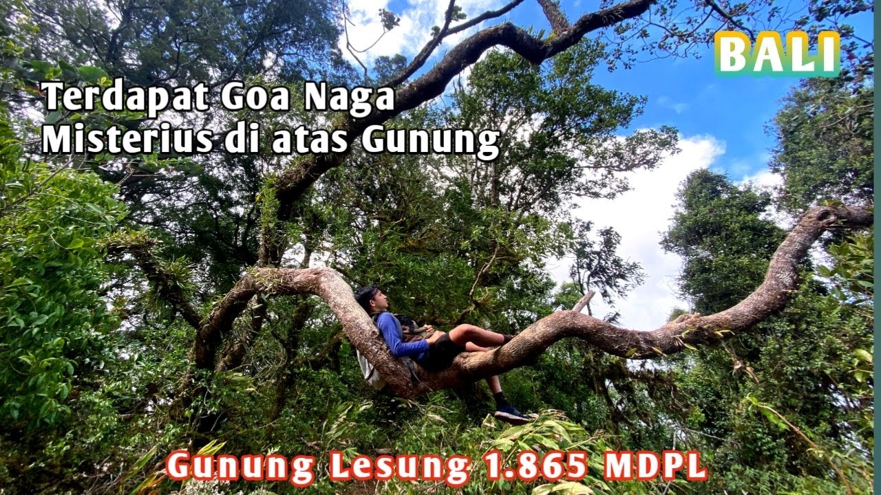 Gunung Lesung 1.865 MDPL‼️Gunung yang Ramah Buat para pendaki pemula