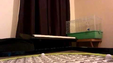 Word search board game