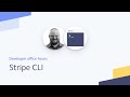 Introduction to the Stripe CLI