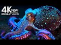 MIND-BLOWING 4K HDR OLED TV Test | 120FPS Dolby Vision™
