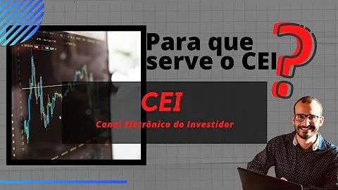 Como tirar CEI pela internet?