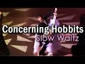 Slow waltz  dj ice  concerning hobbits from lord of the rings 29 bpm