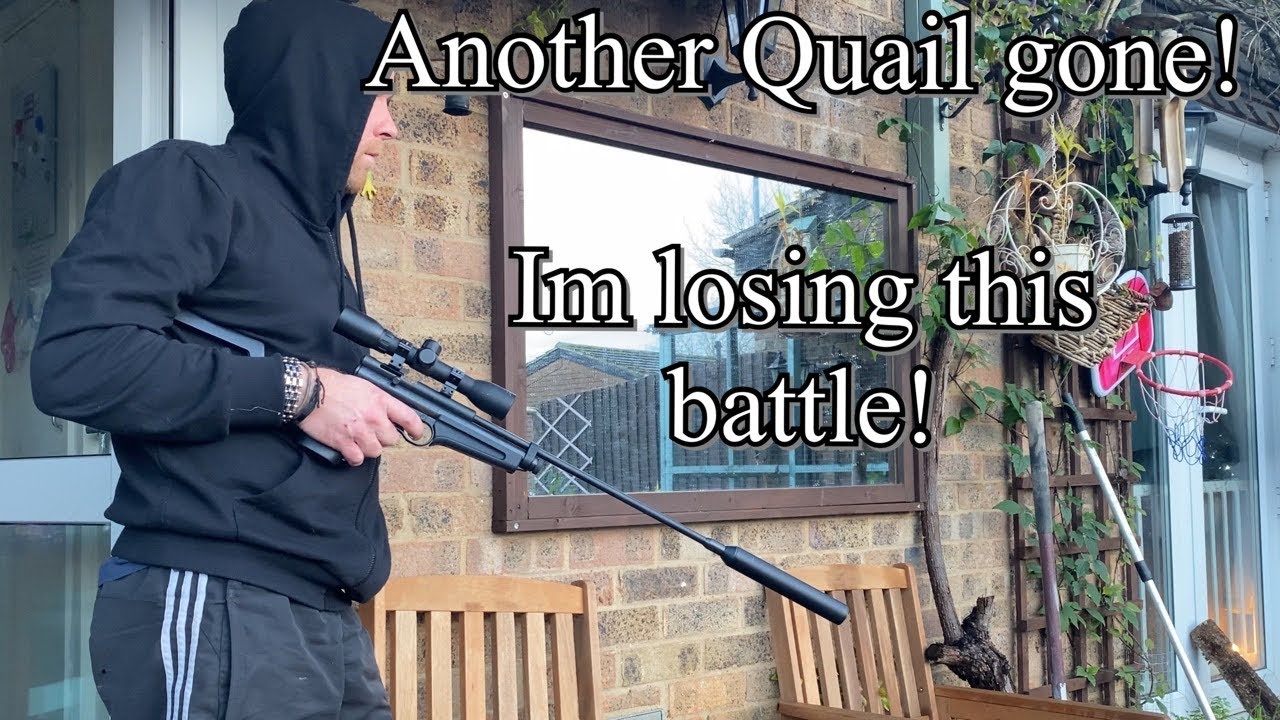 HOW TO STOP RATS? Operation Beat the Rat! (Part 4) YouTube