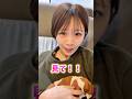 ４ヶ月の子犬が完全に飼い主のことママだと認識してる。。 #tiktok #shorts