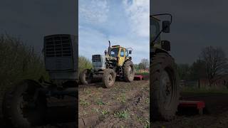 Обработка земли фрезой🚜 #трактор #тракторист #юмз6 #фреза